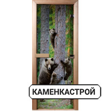 Дверь с фотопечатью A064